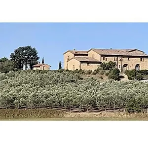  Affittacamere Casamarziatoscana