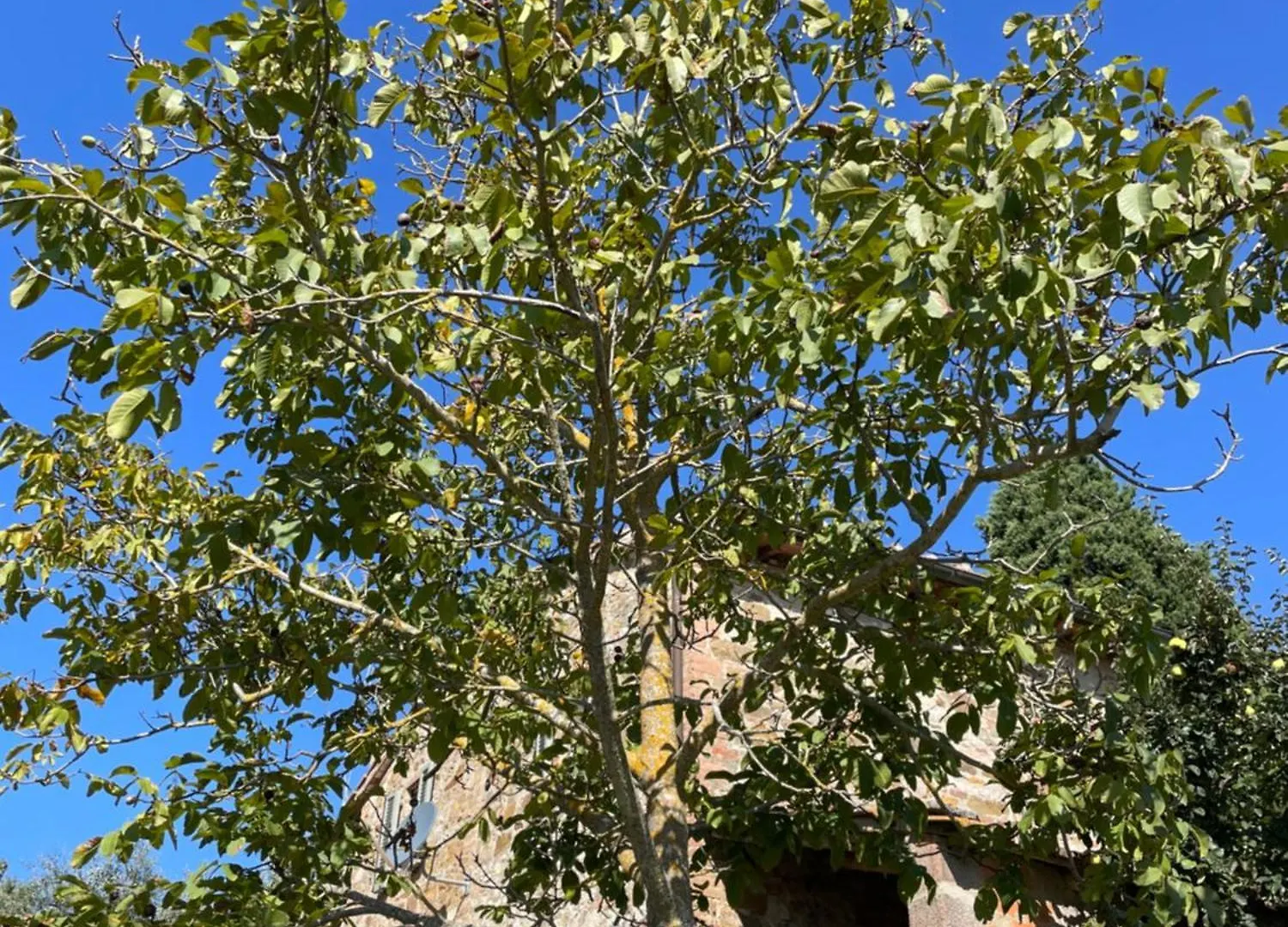 Casamoira Apartment Trequanda Italy